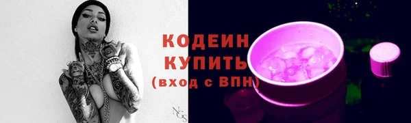 прущий лед Вяземский